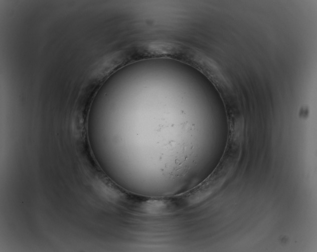 X0000102540418200808081526