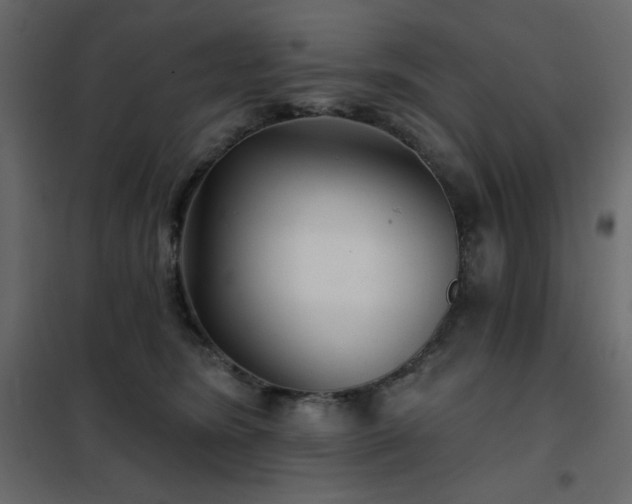 X0000102540420200808081526