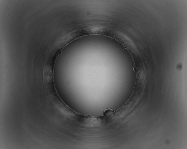 X0000102540421200808081526