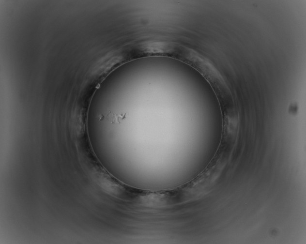 X0000102540422200808081526