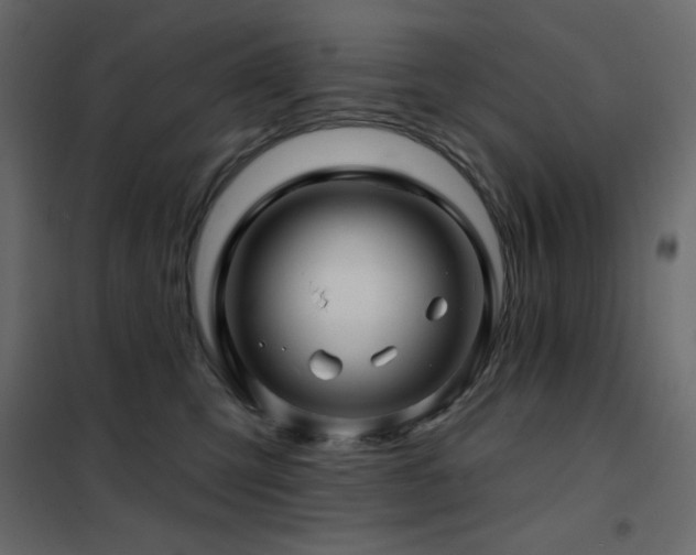 X0000102540423200808081526