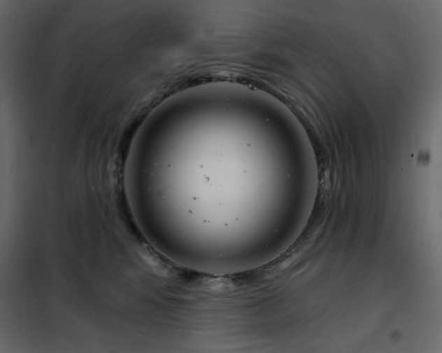 X0000102540424200808081526