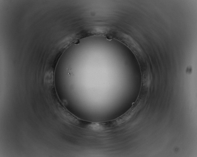 X0000102540425200808081526