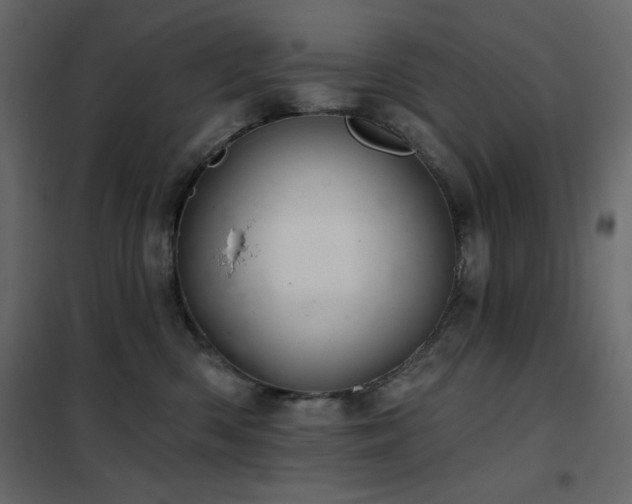X0000102540426200808081526