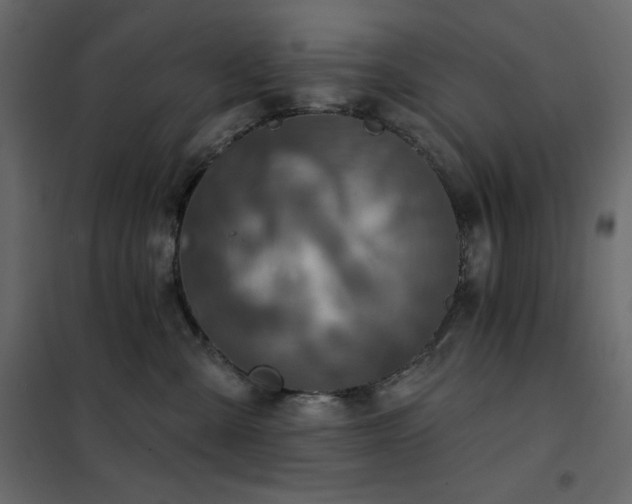 X0000102540427200808081526