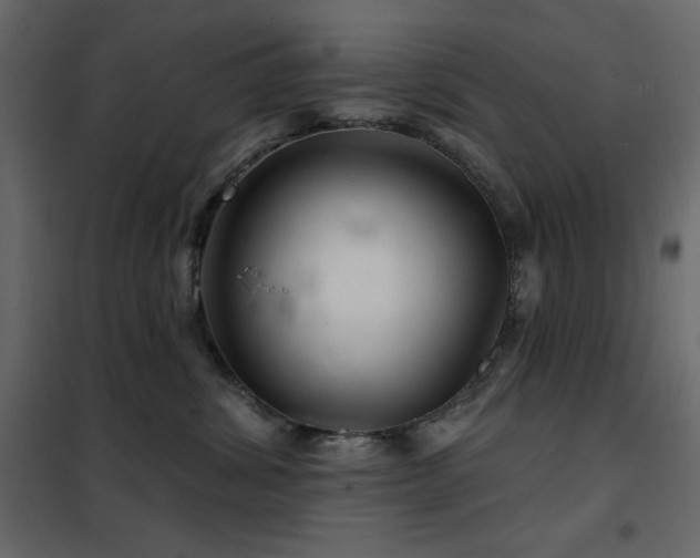 X0000102540428200808081526