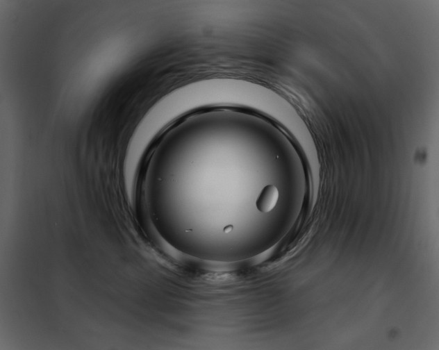 X0000102540429200808081526