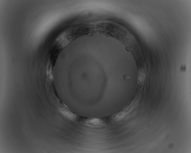 X0000102540431200808081526