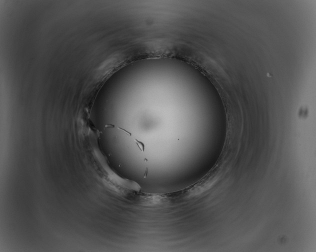X0000102540432200808081526
