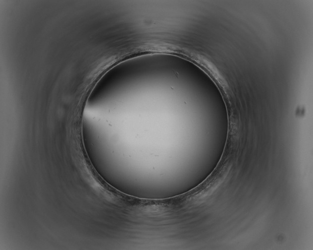 X0000102540433200808081525