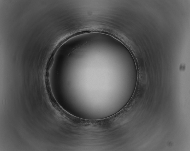 X0000102540434200808081525