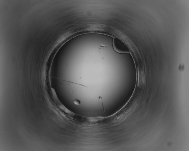 X0000102540435200808081525