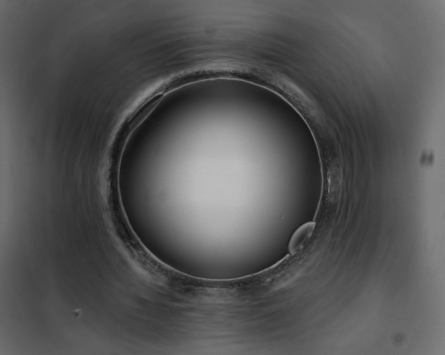 X0000102540436200808081525