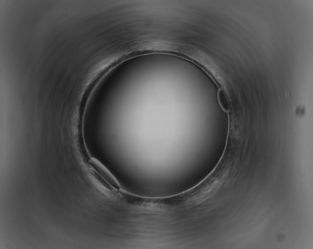 X0000102540437200808081525