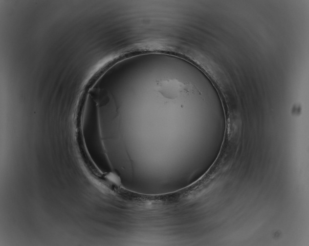 X0000102540438200808081525