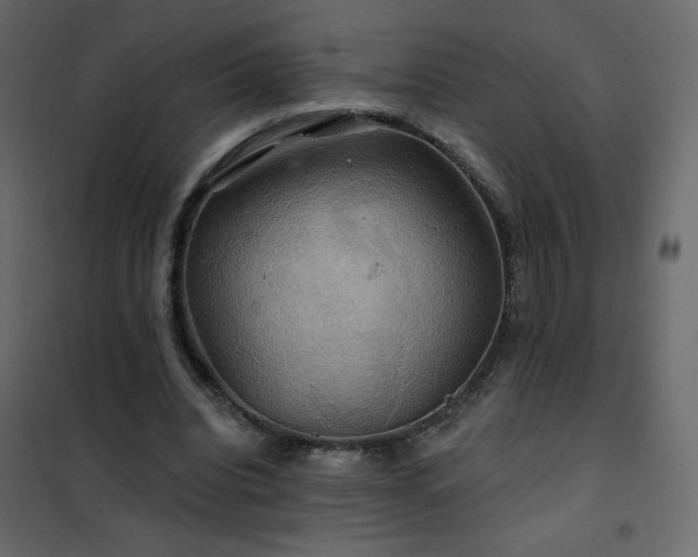 X0000102540440200808081525