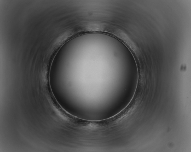 X0000102540441200808081525