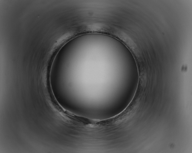X0000102540442200808081525