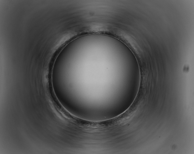 X0000102540443200808081525