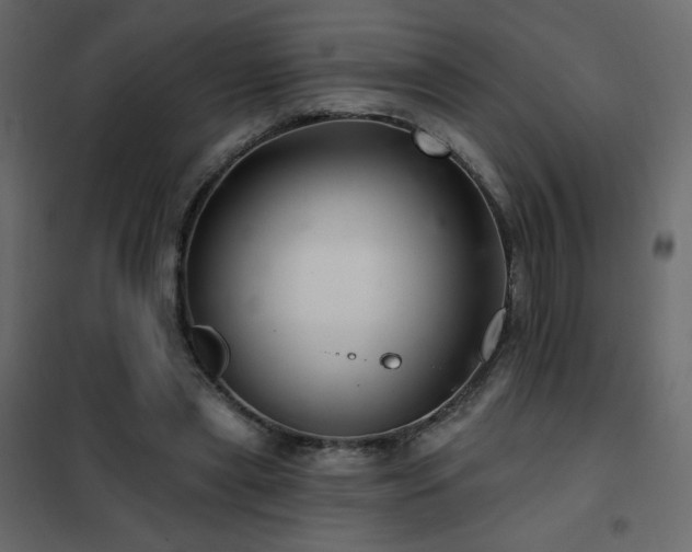 X0000102540445200808081525