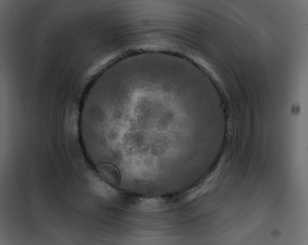X0000102540446200808081525