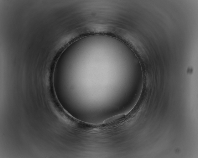 X0000102540447200808081525