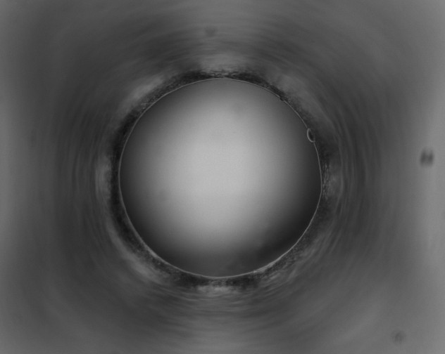 X0000102540448200808081525