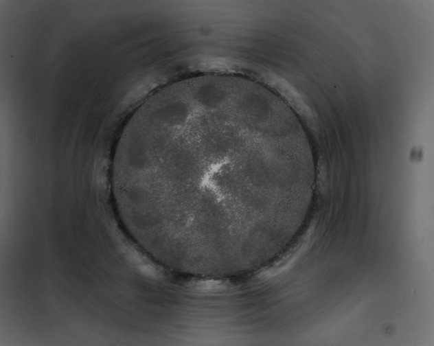 X0000102540449200808081525