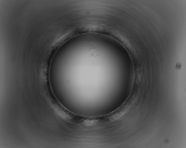 X0000102540450200808081525