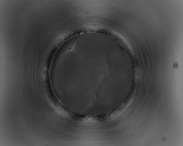 X0000102540451200808081525