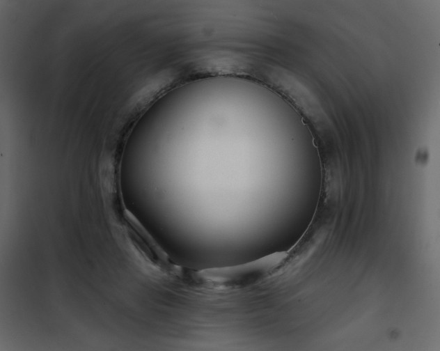 X0000102540453200808081525