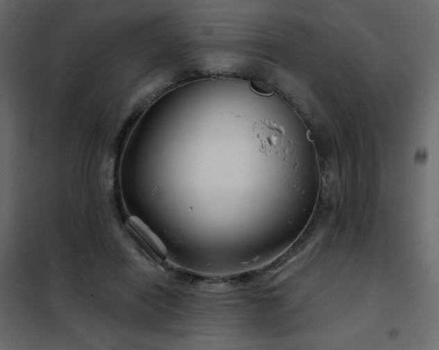 X0000102540454200808081525