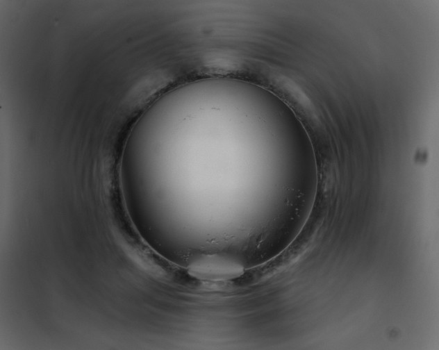 X0000102540455200808081525