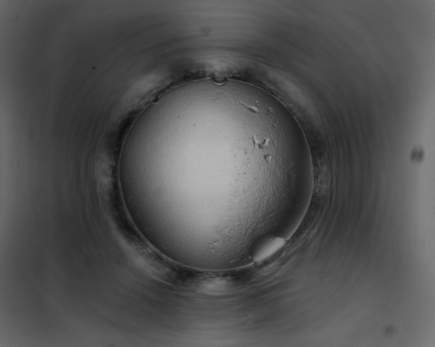 X0000102540456200808081525
