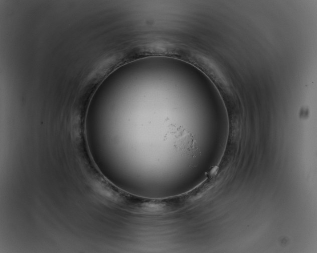 X0000102540457200808081525