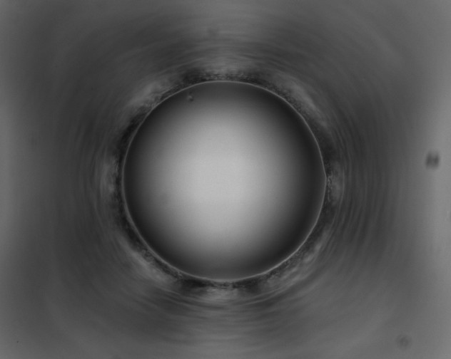 X0000102540458200808081525