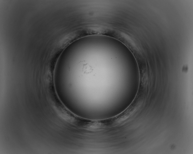 X0000102540459200808081525