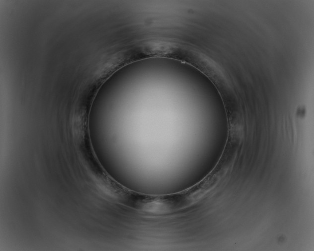 X0000102540460200808081525