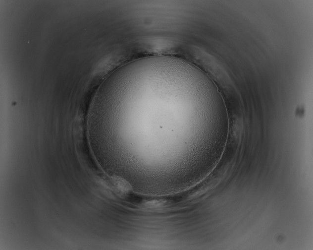 X0000102540461200808081525