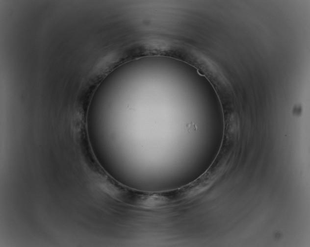 X0000102540463200808081525
