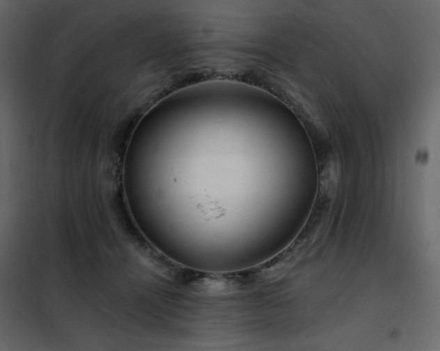 X0000102540464200808081525
