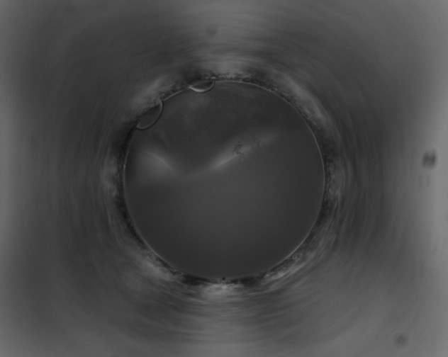 X0000102540465200808081525