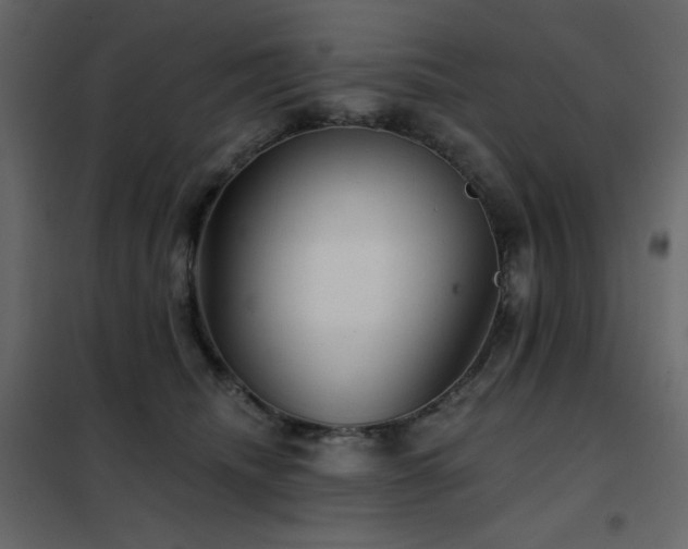 X0000102540468200808081526