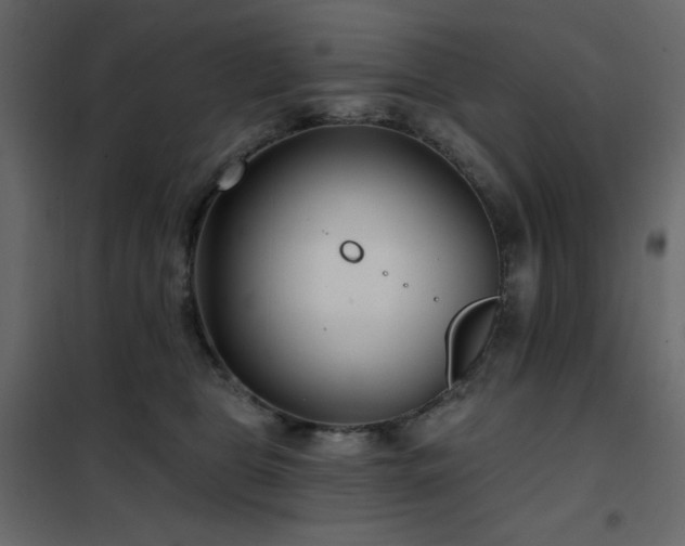 X0000102540469200808081526
