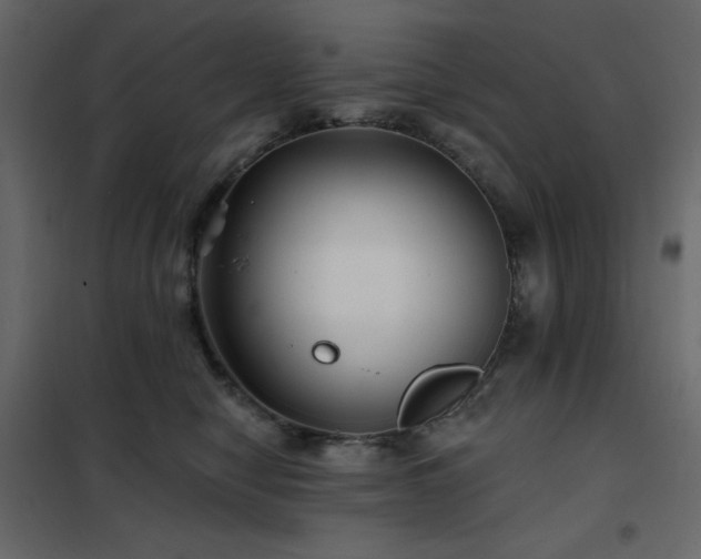 X0000102540470200808081526
