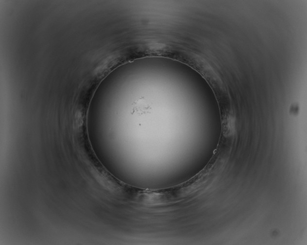 X0000102540472200808081526
