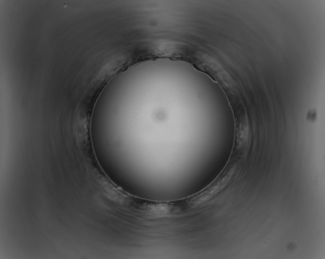 X0000102540473200808081526