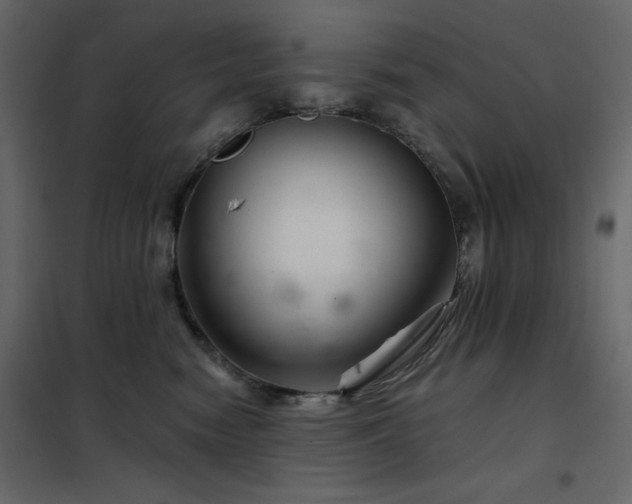 X0000102540474200808081526