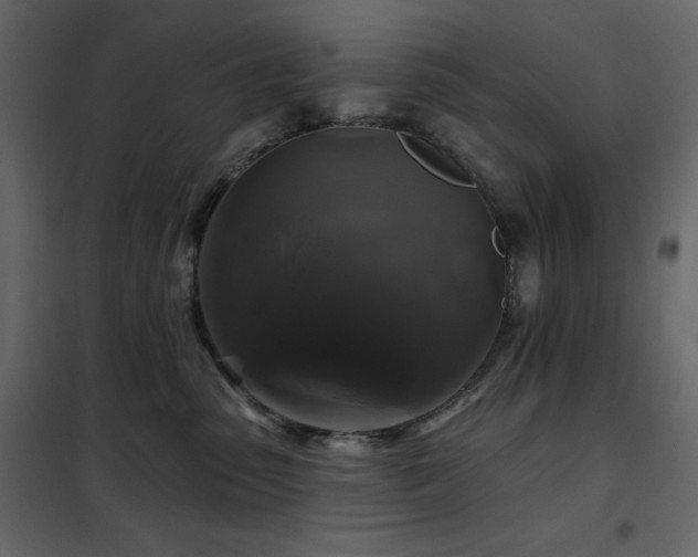 X0000102540475200808081526