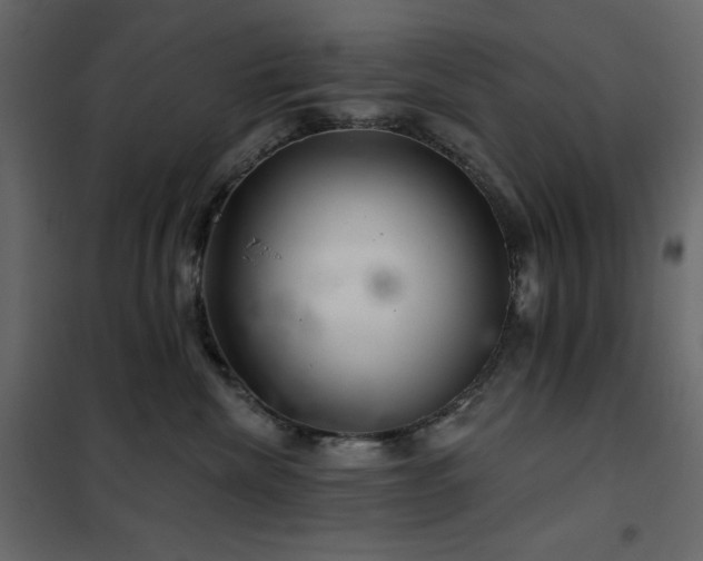 X0000102540476200808081526